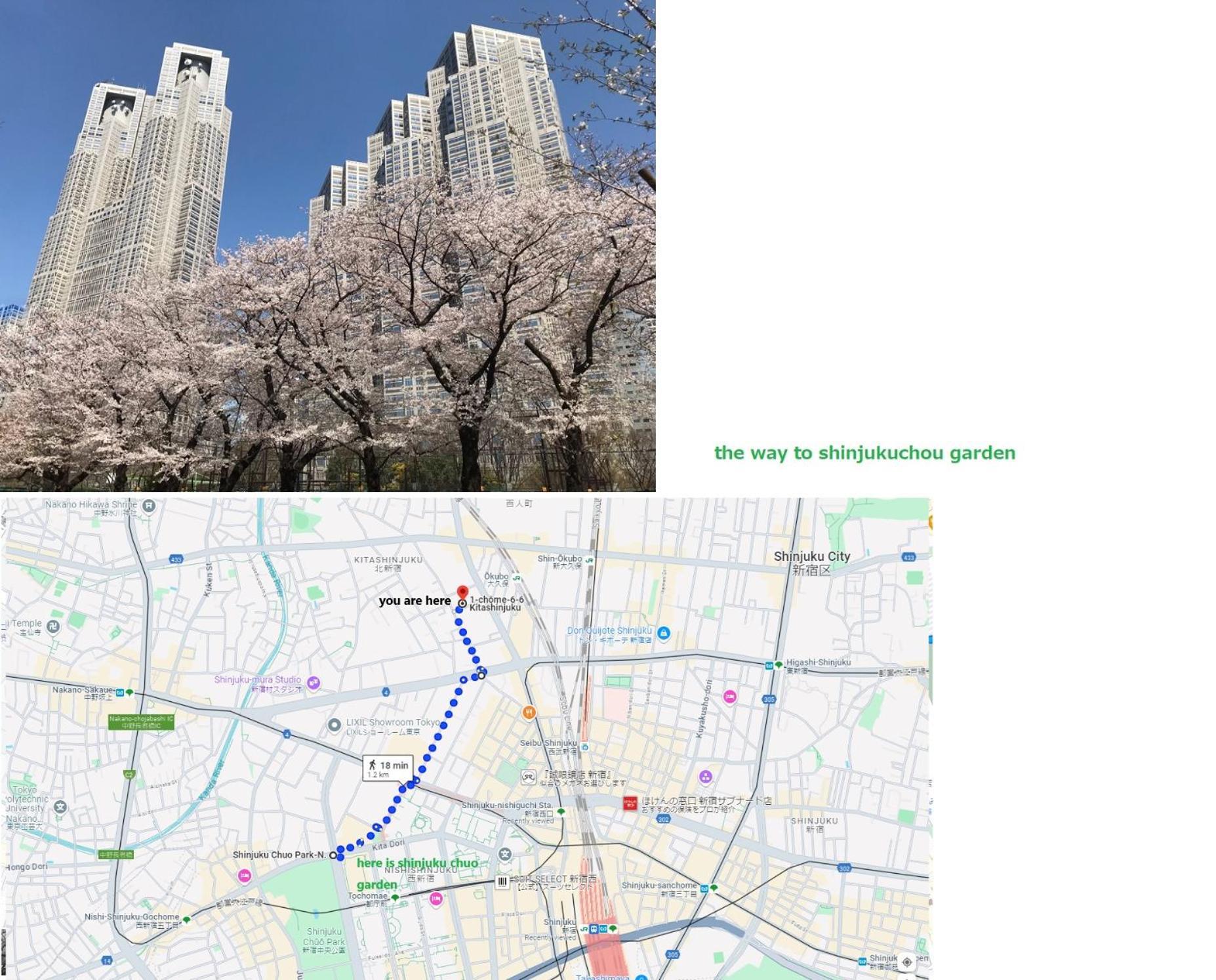 大久保駅から４分、貸切、韓国ダウン至近、新宿/歌舞伎町に徒歩圏内 、단독사용민박 東京都 外观 照片
